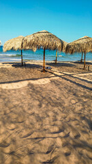 A serene beach illustration with thatched umbrellas and a few scattered chairs on the sand. The gentle waves and clear sky create a soothing and inviting seaside environment.