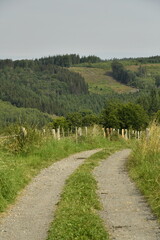 Obraz premium Chemin en pleine campagne sur une colline à Bra (Lierneux) 