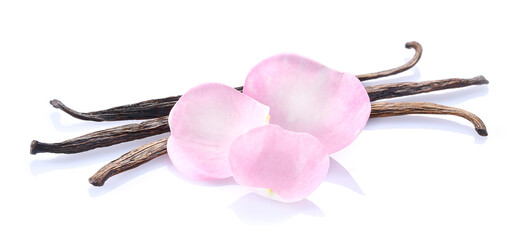 Rose petals with vanilla beans in closeup on white background
