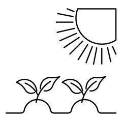 plant plants sun photosynthesis grow gardening icon