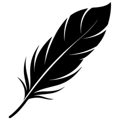 Fototapeta premium feather on white background