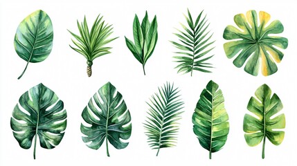 Fototapeta premium Vibrant Watercolor Tropical Jungle Plant Flora Leaves Illustration