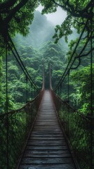 Mystical Wooden Bridge in Misty Forest Landscape