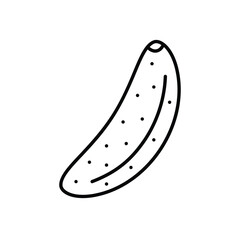 Cucumber Vector icon
