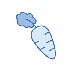 Carrot Vector icon