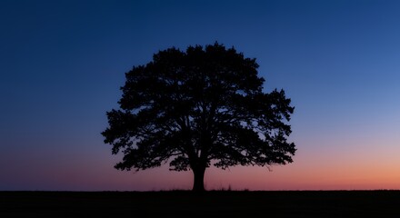 Obraz premium Silhouette of a Majestic Tree Against a Colorful Twilight Sky