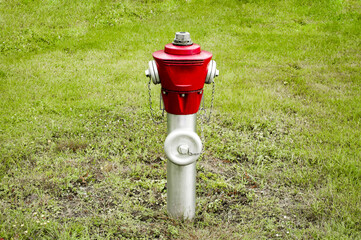 Red water hydrant on a green meadow with text space