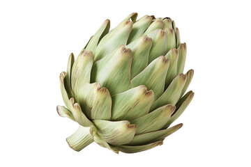 Single fresh green artichoke with detailed texture isolated on white transparent background.