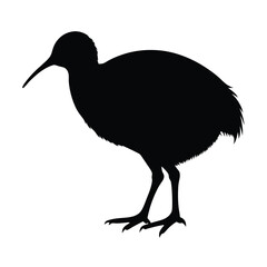 kiwi bird silhouette vector 