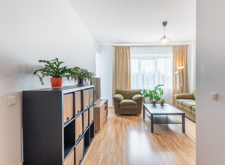 Modern and Cozy Home Living Room with Plants and Wooden Elements