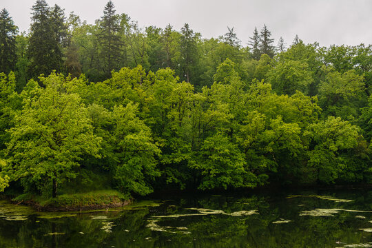 A beautiful and serene view of vibrant green trees softly reflecting in a calm river beneath a misty sky