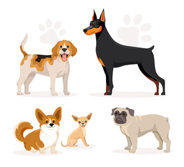 Group of five different dog breeds including Doberman, Beagle, Corgi, Chihuahua, and Pug in cartoon style on white background with paw shadow. Vector illustration