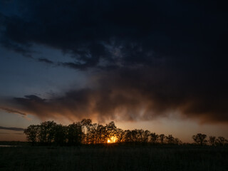 the sun shines through trees at sunset 