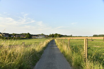Chemin asphalté en pleine campagne sous la lumière du coucher de soleil à Ghislenghien (Ath) 