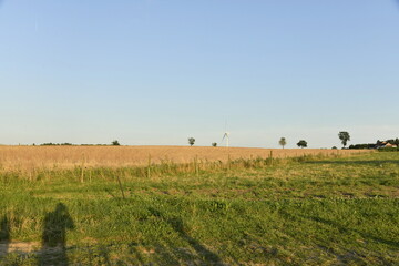 Les champs sous la lumière du coucher de soleil et au loin une éolienne à Ghislenghien (Ath) 