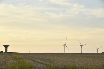 Éoliennes tournant au gré du vent sous le crépuscule à Ghislenghien (Ath) 