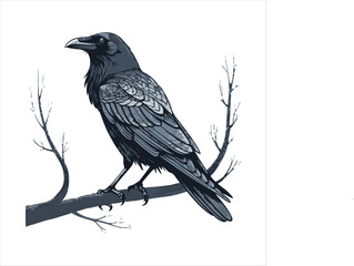 Crow Vector