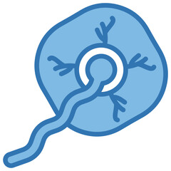 Placenta Icon