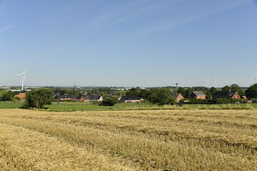 Champs de pailles sous un ciel bleu en &eacute;t&eacute; &agrave; Ghislenghien (Ath) 