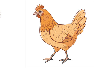 Chicken Vector