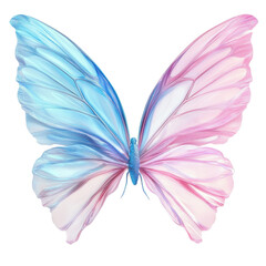 Beautiful pink and blue fairy wings displayed against a Transparent background for fantasy and costume inspiration, Pink and Blue Fairy Wings , isolated on PNG background