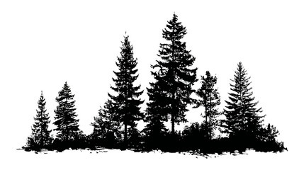 Fototapeta premium Pine tree forest simple black silhouette vector isolated on white background - 