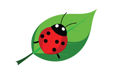 Ladybug on Leaf 