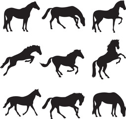 All animal art design