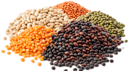 Assorted Dry Beans and Lentils