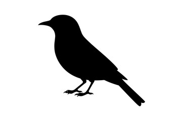 Silhouette of a bird perched vector illustration