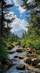 Obraz premium Mountain stream flows through lush forest, majestic peaks in background under a partly cloudy sky