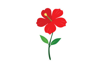 Red Hibiscus Tropical Plant 