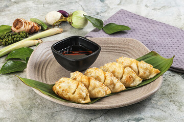 Japanese cuisine - stuffed dumplings gyoza