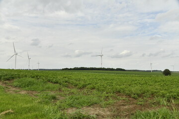 Fototapeta premium Série d'éoliennes sous un ciel gris à Ghislenghien (Ath)