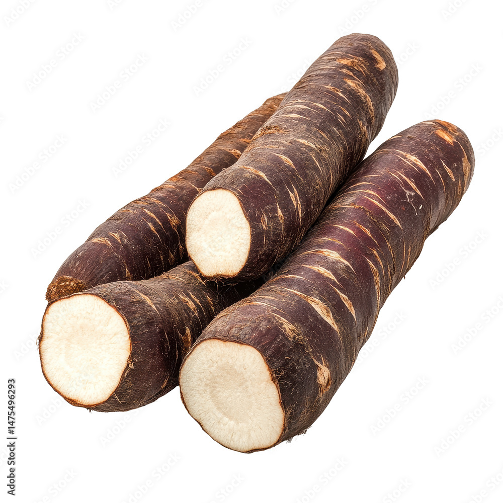 Poster cassava roots displayed on white background showcasing their distinctive texture and color in a deta