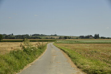 Route secondaire de campagne entre les différentes cultures et prairies à Ghislenghien (Ath) 