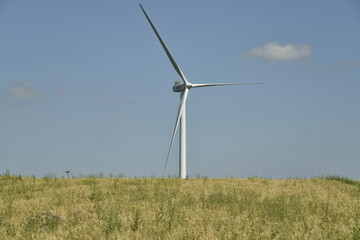 Éolienne se dressant fièrement au dessus d'un terrain à végétation sauvage à Ghislenghien...