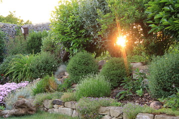 Lichtspiel beim Sonnenuntergang