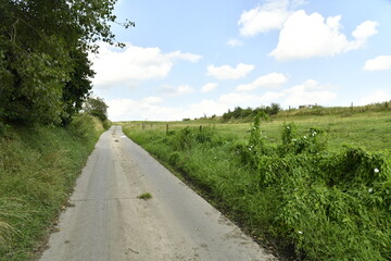 Route de campagne entre un bois et une prairie à Ghislenghien (Ath)