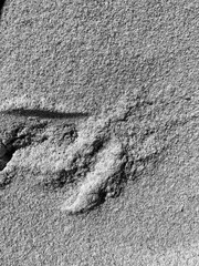 Black and white close-up of sand texture with natural shadows and abstract surface detail. Minimalist background with organic shapes and granular structure. Ideal for design, texture, or nature themes