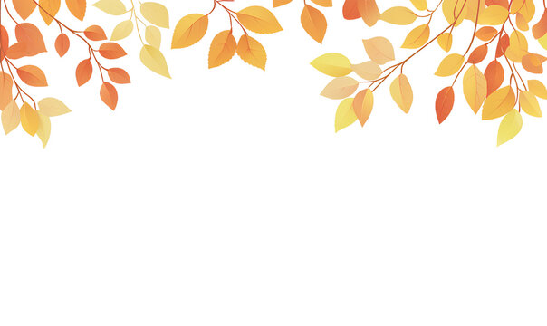  A simple vector-style background with an autumn border of orange and yellow leaves in the top-right corner, transparent white background,