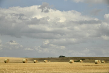 Ballots de paille sur un champ sous les nuages gris &agrave; Hellebecq (Silly)