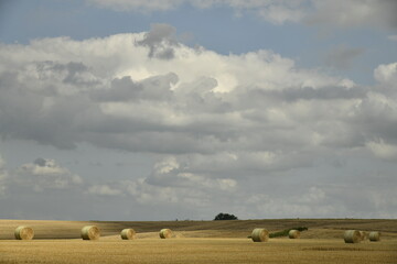 Ballots de paille sur un champ sous les nuages gris &agrave; Hellebecq (Silly)