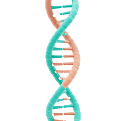 Digital representation of a DNA double helix, genomics exploration concept