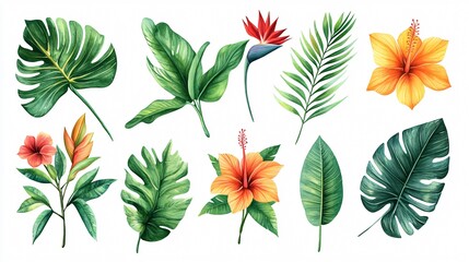 Exotic Tropical Leaves and Hibiscus Flowers on White Background