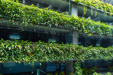 Multi-level vertical garden with dense green foliage and mist irrigation on facade of parking garage combining sustainable design with functional urban architecture in Bangkok city, Thailand