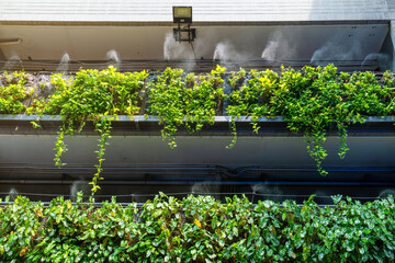 Vertical garden with active automated misting system providing irrigation and cooling on building...