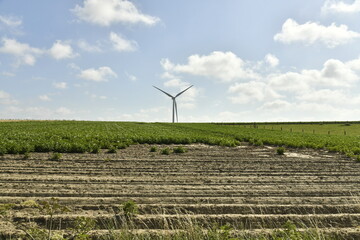 Champ rayé devant une éolienne à Ghislenghien (Ath)