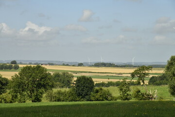 Paysage rural entre champs et bois aux environs de Ghislenghien (Ath) 