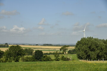 Paysage rural entre champs et bois aux environs de Ghislenghien (Ath) 